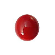 Red Coral ( मूंगा, प्रवाल )